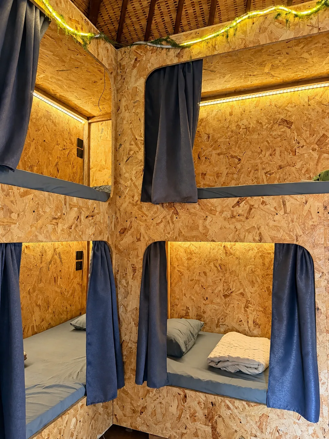 6-bed female dorm