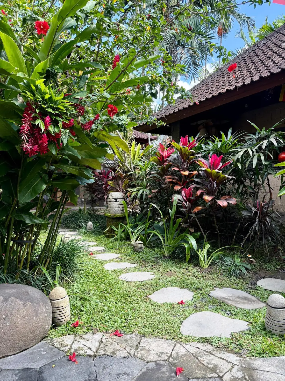The garden